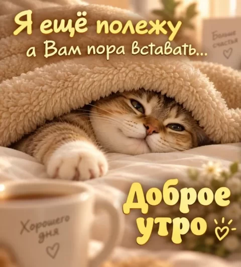Я ещё полежу, а вам пора вставать