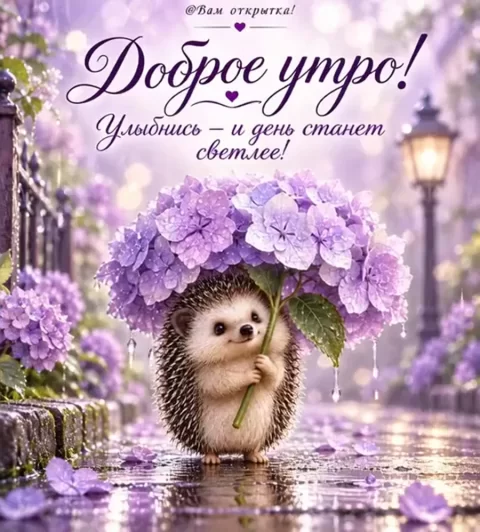 Доброе утро!