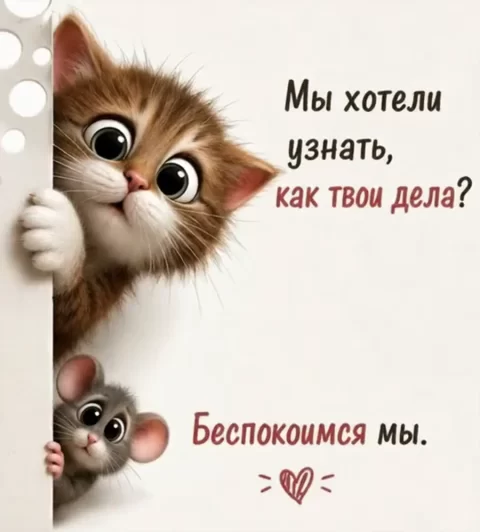 Мы хотели узнать, как твои дела?